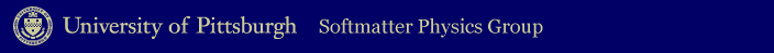 Softmatter Physics